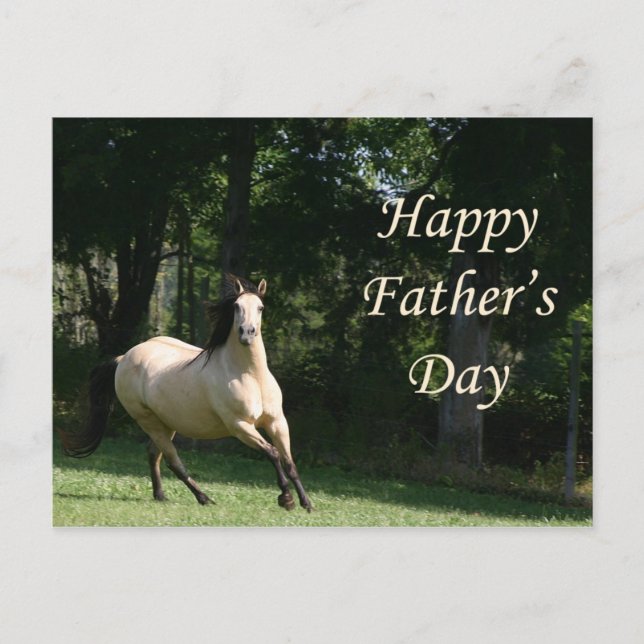Buckskin horse Father's Day postcard (Front)