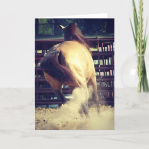 Buckskin Kicks Up Dust All Occasions Card