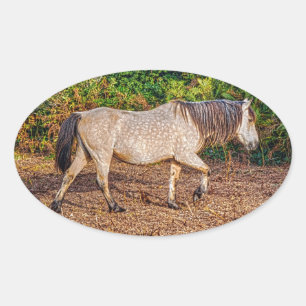 Buckskin New Forest Pony Wildlife Oval Sticker
