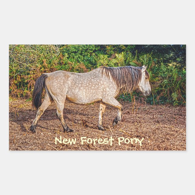 Buckskin New Forest Pony Wildlife Sticker (Front)