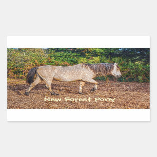 Buckskin New Forest Pony Wildlife Sticker