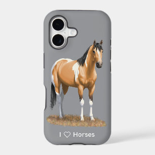 Buckskin Pinto Dun Paint Horse Staillion