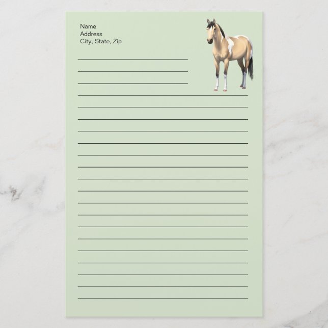 Buckskin Pinto Dun Paint Horse Staillion Stationery (Front)