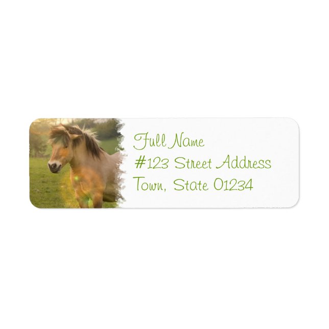 Buckskin Pony Return Address Label (Front)