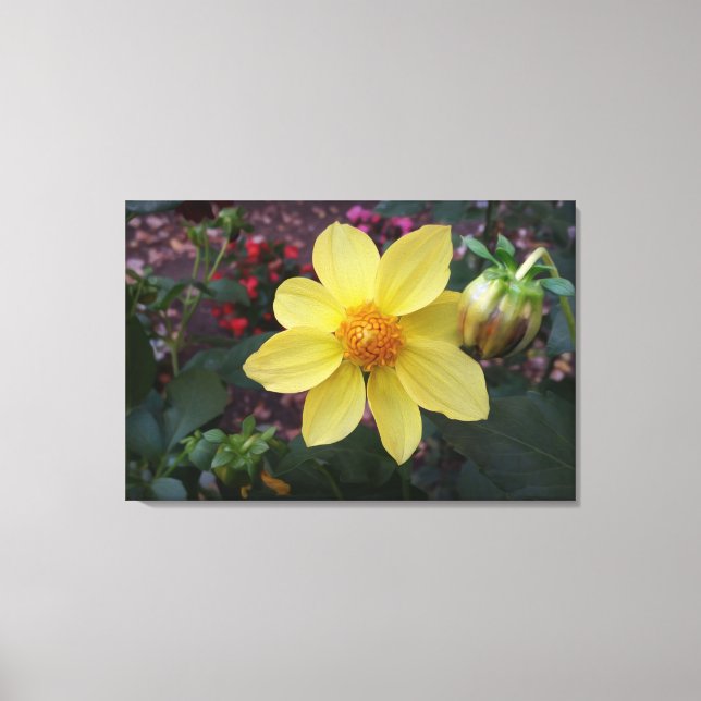 Bud and flower canvas print (Front)