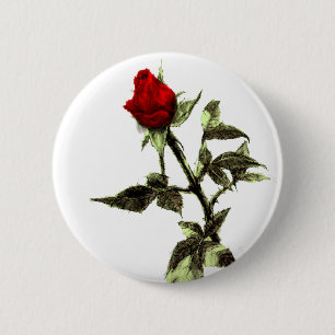 Bud of the red rose penciled 2 inch round button