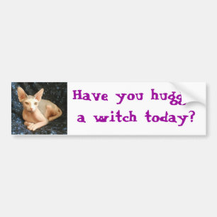 Buda 8, Have you hugged a witch today? Bumper Sticker