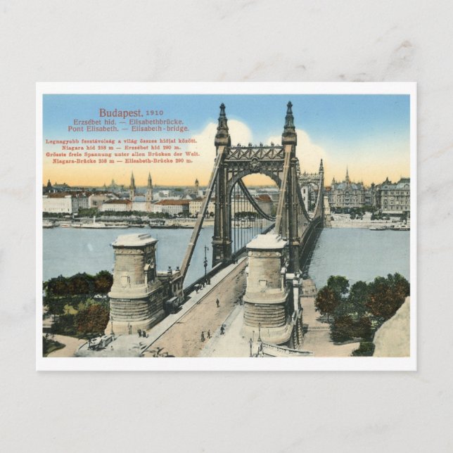 budapest 1910 hungary vintage elizabeth bridge postcard (Front)