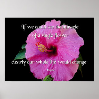Buddha, A Single Flower Poster