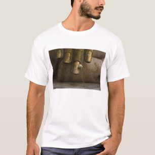 Buddha at Wat Si Chum. T-Shirt