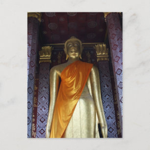buddha gold sash postcard