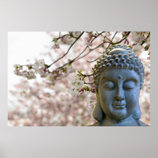 Buddha Head against Sakura Cherry Blossoms Poster