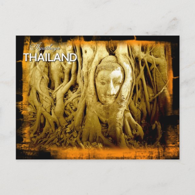 Buddha head entangled in fig roots, Ayutthaya Postcard (Front)
