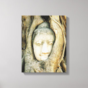 Buddha Head in the Fig Tree .. Ayutthaya, Thailand Canvas Print