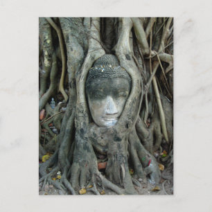 Buddha Head Postcard