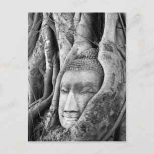 Buddha in a Tree Postcard