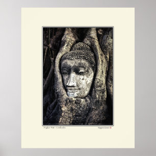 Buddha in the Banyon -Cambodia Poster