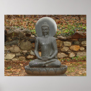 Buddha in the rain poster