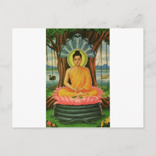 Buddha Postcard