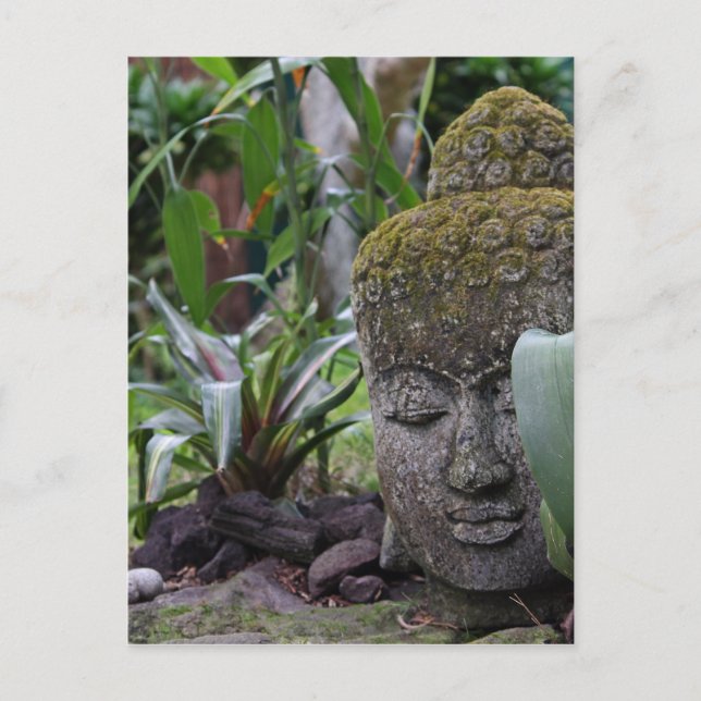 Buddha Postcard (Front)