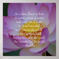 Buddha quote Lotus flower