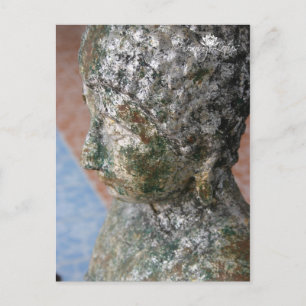 Buddha Statue-Thailand Postcard