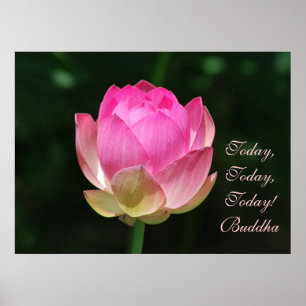 Buddha Today is the day Poster
