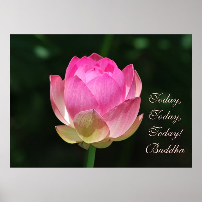 Buddha Today is the day Poster (Front)