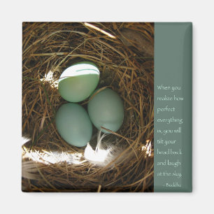 Buddha Words of Wisdom Magnet