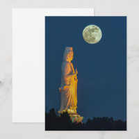 Buddha's Life, Meditation, and Compassion