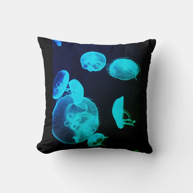 BuddhaToday Ocean Zen #3 - Throw Pillow (Front)
