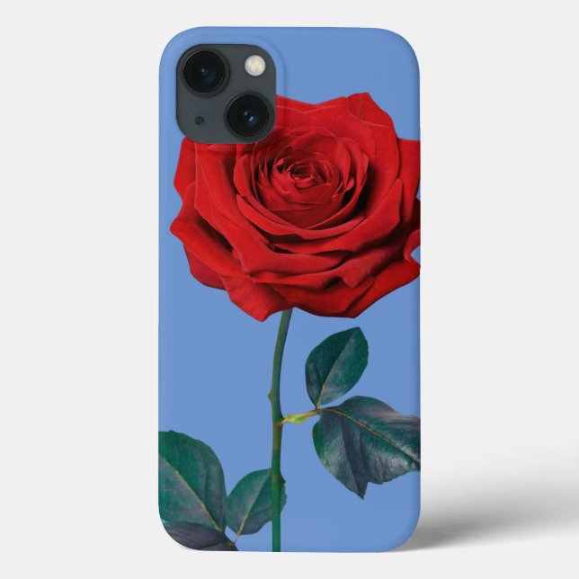 BuddhaToday V1 #30 "Calling All Zen Case-Mate iPhone Case (Back)