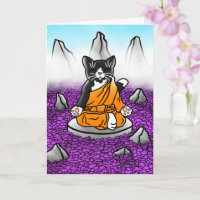 Buddhist Tuxedo Meditation Cat