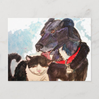 Buddies Postcard