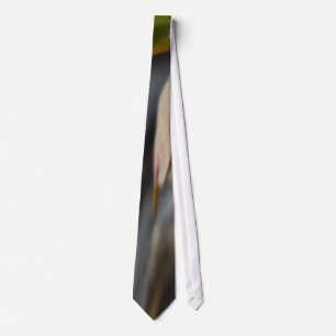 Budding Anemone Abstract Tie