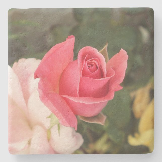 Budding Pink Rose Stone Coaster (Front)