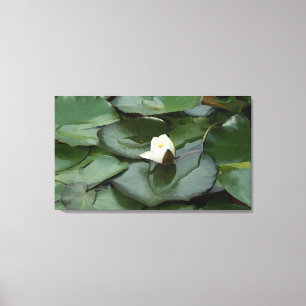 Budding Spiritually Canvas Print