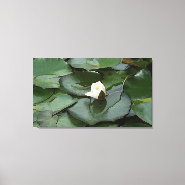 Budding Spiritually Canvas Print (Front)