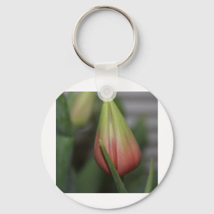 Budding Tulip #2 Keychain