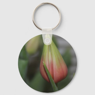 Budding Tulip #2 Keychain
