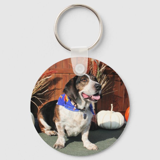 Buddy Beagle Basset Hybrid Photo-01 Keychain (Front)
