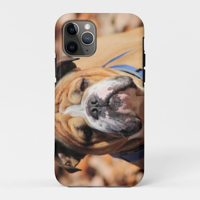 Buddy Bulldog  Case-Mate iPhone Case (Back)