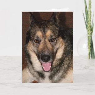 Buddy Greeting Card