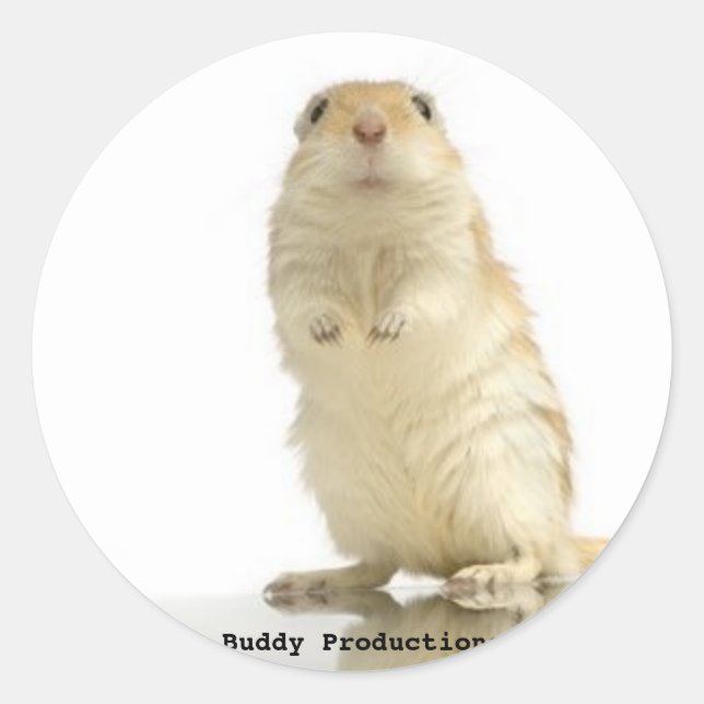 Buddy Sticker, Buddy Productions Classic Round Sticker (Front)