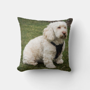 Buddy Throw Pillow