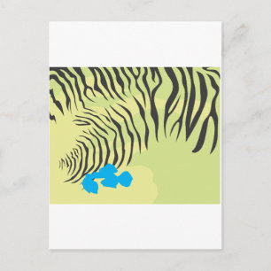 Budgerigar Parrot Skin Postcard