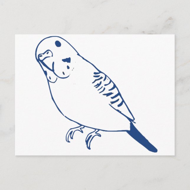 Budgerigar Postcard (Front)
