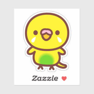 Budgerigar / Recessive pied budgie