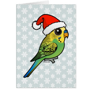 Budgerigar Santa Claus