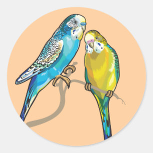 budgerigars classic round sticker